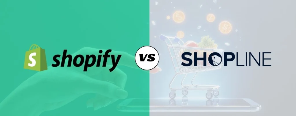 HiWiPay-for-D2C-Export-Stores_Secondary