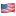 🇺🇸